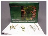 Гербарий "Основные группы растений" (52 листа)