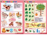 Комплект таблиц Окружающий мир 5-6 лет. "Животные и растения".(12 таблиц+16 карт.)