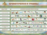 Трехсекционный базовый комплект "Травмы. Кровотечения. Ожоги" для курсантов военных образовательных учреждений