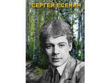 DVD-фильм  Сергей Есенин