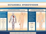 Электрифицированный стенд-тренажер "Остановка кровотечения"