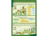 Таблицы Биология 10-11 классы. Эволюционное учение 10 таблиц