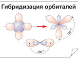 Кодотранспаранты Гибридизация орбиталей  (5 шт)