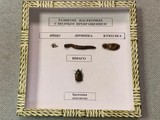 Коллекция энтомологическая "Развитие насекомых с полным превращением"