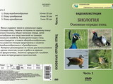 DVD-фильм Основные отряды птиц. Часть 1 (3 сюжета, 28 мин)
