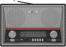 Радиоприемник портативный Ritmix RPR-102