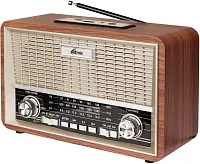 Радиоприемник настольный Ritmix RPR-111