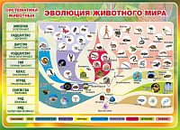 Стенд для школы ЭВОЛЮЦИЯ ЖИВОТНОГО МИРА, СИСТЕМАТИКА ЖИВОТНЫХ, 1,25*0,9м