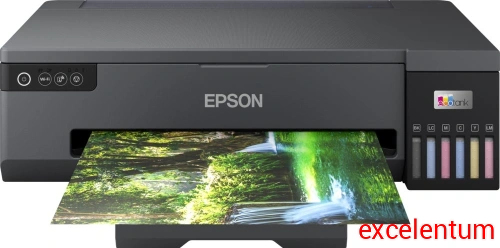 Принтер струйный Epson L18050