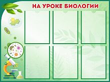 Стенд для школы НА УРОКЕ БИОЛОГИИ, 1*0,75м