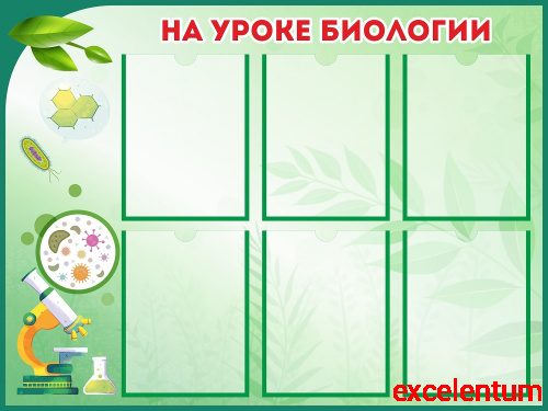Стенд для школы НА УРОКЕ БИОЛОГИИ, 1*0,75м