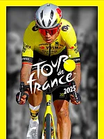 Игра для ПК Nacon Tour de France 2025 (12+)