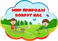 Табличка для детского сада радужная МИР ПРИРОДЫ ВОКРУГ НАС, 0,42*0,3м