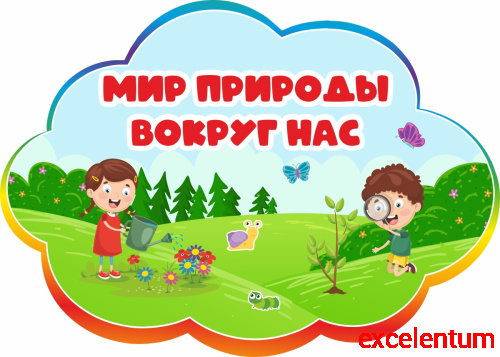 Табличка для детского сада радужная МИР ПРИРОДЫ ВОКРУГ НАС, 0,42*0,3м