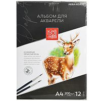 Альбом для акварели 12л. плотность 200 г/м2, А4, склейка