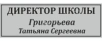 Табличка для школы в серебряном цвете ДИРЕКТОР ШКОЛЫ, 0,3*0,1м