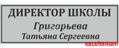 Табличка для школы в серебряном цвете ДИРЕКТОР ШКОЛЫ, 0,3*0,1м Табличка для школы в серебряном цвете ДИРЕКТОР ШКОЛЫ, 0,3*0,1м