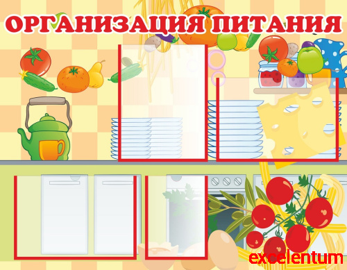 Стенд для школы ОРГАНИЗАЦИЯ ПИТАНИЯ (Фрукты и овощи), 0,9*0,7м