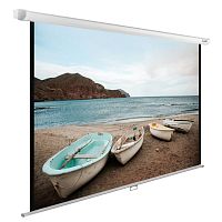 Экран Cactus 138x220см WallExpert CS-PSWE-220x138-WT