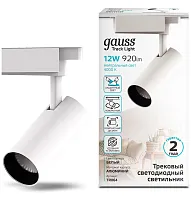 Светильник Gauss  TR064