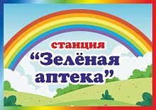 Табличка для детского сада СТАНЦИЯ ЗЕЛЕНАЯ АПТЕКА, 0,3*0,21м
