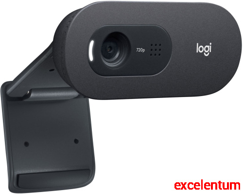 Камера Web Logitech HD Webcam C505e фото 2 Камера Web Logitech HD Webcam C505e фото 2