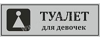 Табличка для школы в серебряном цвете ТУАЛЕТ ДЛЯ ДЕВОЧЕК, 0,3*0,1м