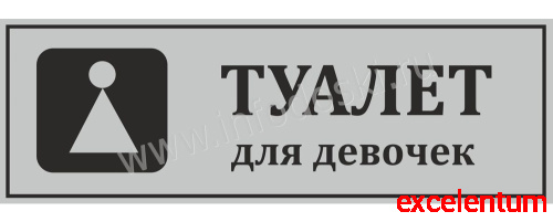 Табличка для школы в серебряном цвете ТУАЛЕТ ДЛЯ ДЕВОЧЕК, 0,3*0,1м