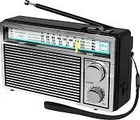 Радиоприемник портативный Ritmix RPR-131
