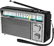 Радиоприемник портативный Ritmix RPR-131