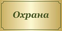 Табличка для школы в золотистом цвете ОХРАНА, 0,3*0,15м