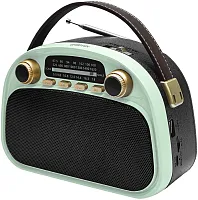 Радиоприемник портативный Ritmix RPR-040