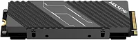 Накопитель SSD Hikvision PCIe 4.0 x4 1TB HS-SSD-FUTUREX LITE 1024G