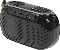 Радиоприемник портативный Ritmix RPR-008