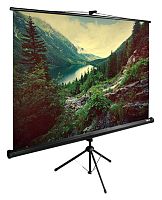 Экран Cactus 220x220см TriExpert CS-PSTE-220x220-BK