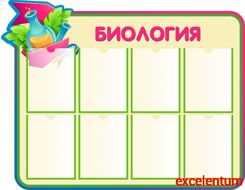 Стенд для школы БИОЛОГИЯ (Колба), 1,15*0,89м Стенд для школы БИОЛОГИЯ (Колба), 1,15*0,89м