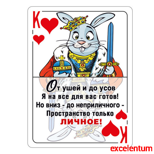 Виниловый магнит "От ушей и до усов..."