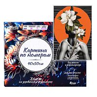 Картина по номерам 40х50 "Непреодолимая загадка" 15 цветов