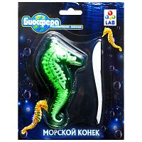 Познавательная анатомия, мини набор "Морской конек" 14х18см