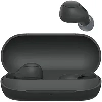 Гарнитура внутриканальные Sony WF-C700N