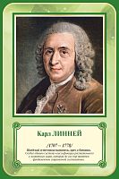 Стенд-портрет для школы зеленый ЛИННЕЙ, 0,4*0,6м