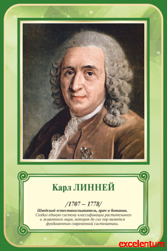 Стенд-портрет для школы зеленый ЛИННЕЙ, 0,4*0,6м