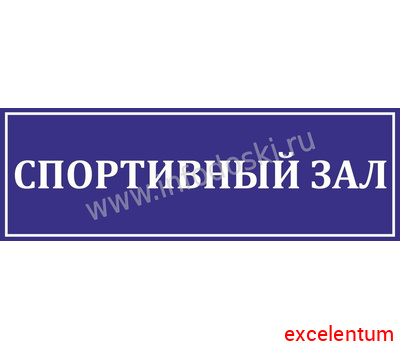 Табличка для школы в синем цвете СПОРТИВНЫЙ ЗАЛ, 0,3*0,1м Табличка для школы в синем цвете СПОРТИВНЫЙ ЗАЛ, 0,3*0,1м