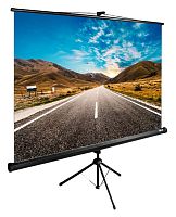 Экран Cactus 160x160см TriExpert CS-PSTE-160x160-BK