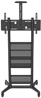 Кронштейн Wize Pro M75