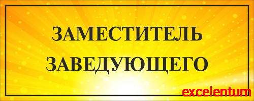 Табличка на дверь ЗАМЕСТИТЕЛЬ ЗАВЕДУЮЩЕГО, 0,3*0,12м