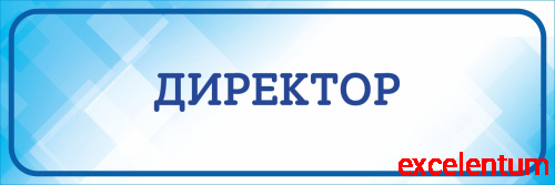 Табличка на дверь голубая ДИРЕКТОР, 0,3*0,1м Табличка на дверь голубая ДИРЕКТОР, 0,3*0,1м