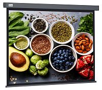 Экран Cactus 150x150см Wallscreen CS-PSW-150X150-SG