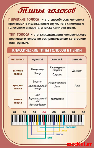 Стенд для школы ТИПЫ ГОЛОСОВ, 0,7*1,1м Стенд для школы ТИПЫ ГОЛОСОВ, 0,7*1,1м