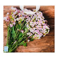 Пакет ПЭ с петлевой ручкой 38x34+3см "Мгновение"